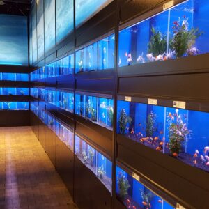 Aquarium stelling 600 cm GG-serie