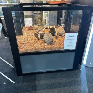 Konijnen – Cavia bak 150 x 120 cm 2 vaks op wielen.