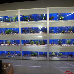 Aquarium stelling 390 cm