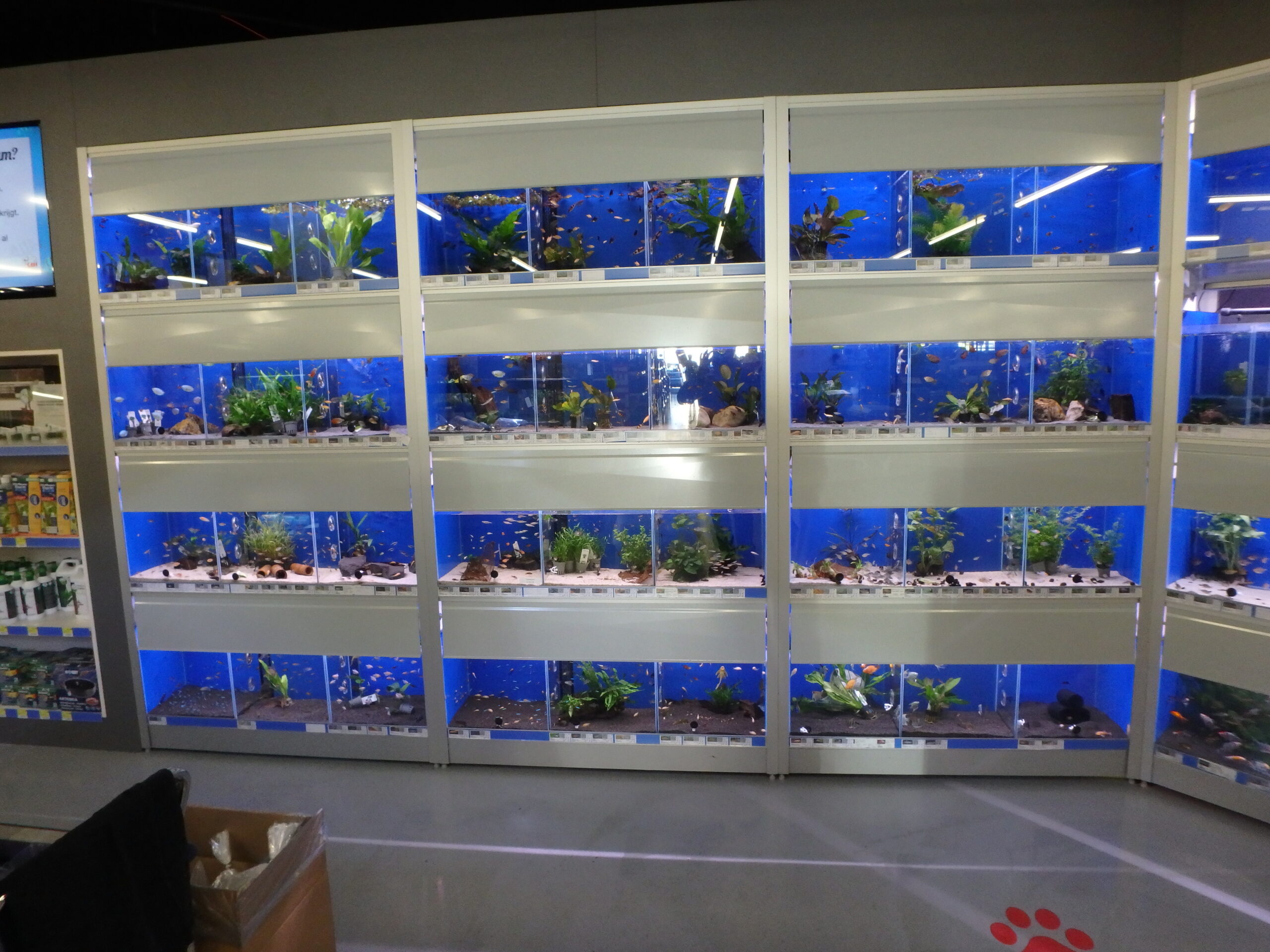 Aquarium stelling 390 cm