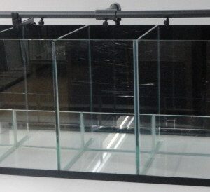 garnalen aquarium 5 vaks