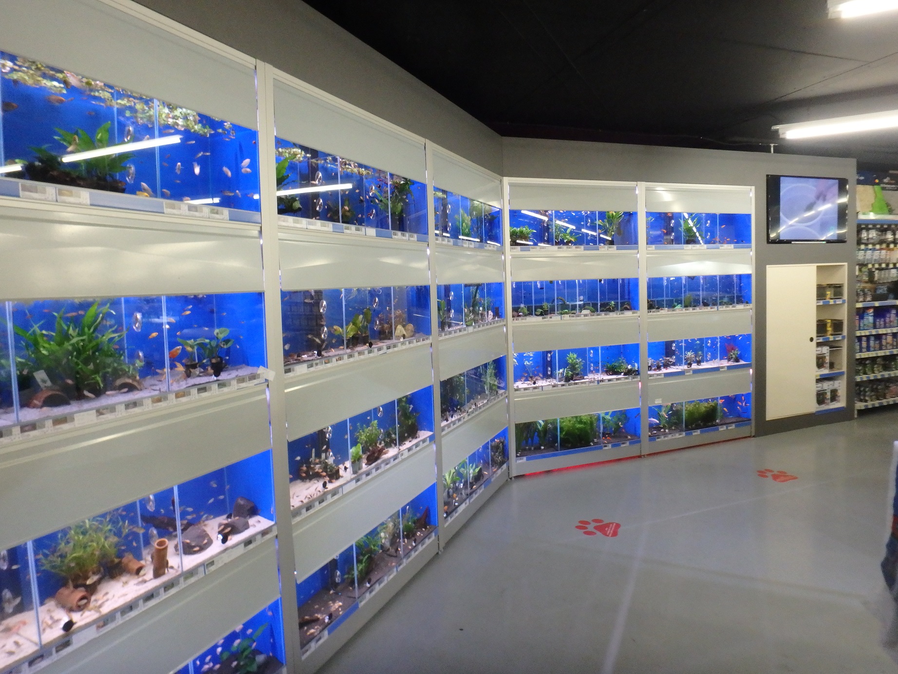 aquarium stellingen 130 cm 4 lagen met kleppen met midden filters